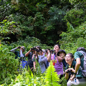 esn guided walk for tr 2